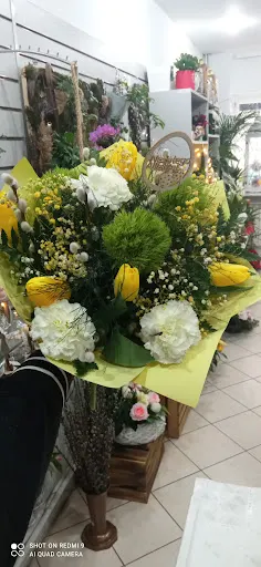 Kwiaciarnia Niezapominajka